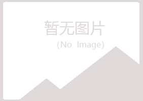 湘西夏岚因特网有限公司